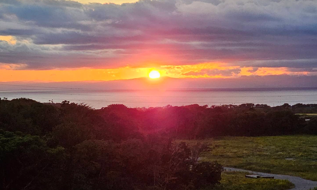 訪問看護イメージ