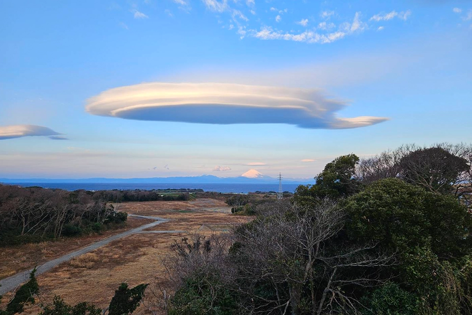 多様なニーズに対応